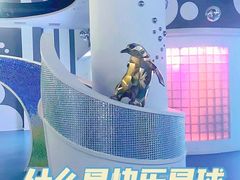 -海合安青岛极地海洋公园