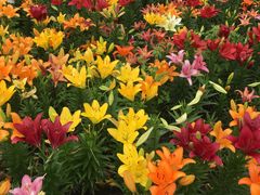 -长春公园(普阳街道)