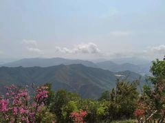 -梧桐山风景名胜区