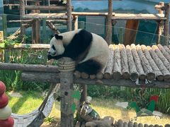 -大连森林动物园