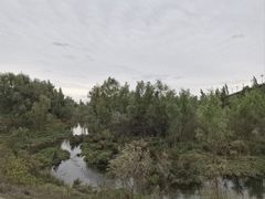 -伊犁河风景区