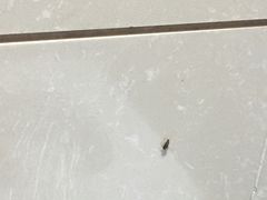 -北京华联购物中心(天通苑店)