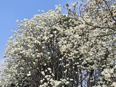 -外高桥保税区南(地铁站)