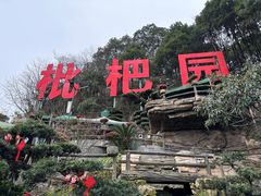 -枇杷园食为鲜火锅(南山店)
