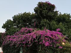 -音乐广场