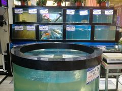 水产区-聚鑫阁江浙菜·非遗传承技艺(青村帝华园店)