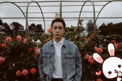 -大麦微针植发丨全国连锁