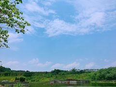 -两江国际影视城