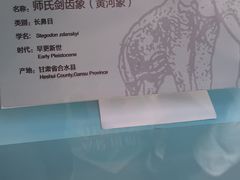 -国家自然博物馆