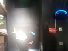 -探鱼·鲜青椒爽麻烤鱼(广州南沙万达广场店)