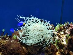 -锦艺城海洋馆