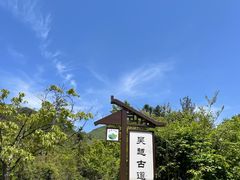 -浙西天池景区