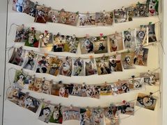 -Husky Go! 哈士奇体验馆·宠物咖啡厅狗咖