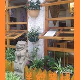 大理探店—阿鹏故事野生菌火锅
