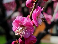 -静安雕塑公园