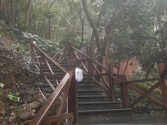 -宁海森林温泉