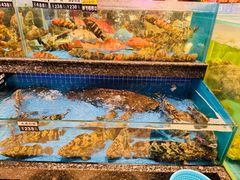 -聚福宝合苑食府(南头镇店)