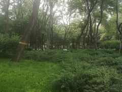 -玲珑塔公园