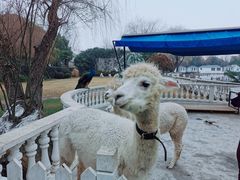 -金庭庄园酒店-停车场