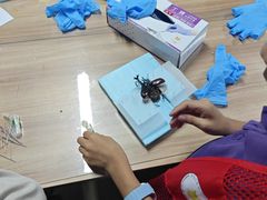 -上海昆虫博物馆