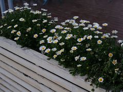 -Beans Solo豆号咖啡(百家湖花园店)