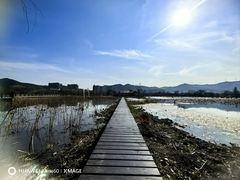 -长兴太湖图影湿地文化园