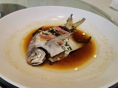 酒酿花雕蒸鲳鱼-樱苑(四川北路店)