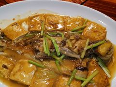 -顺德了能馆(虎门店)