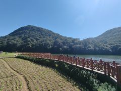 -广州市石门国家森林公园