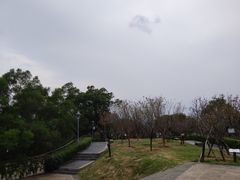 -金鸡山公园