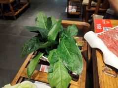 -南门四季铜锅涮肉(左家庄店)