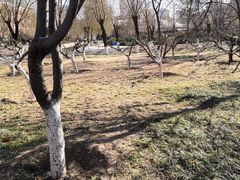 -丰台科技园生态主题公园