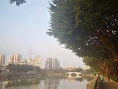 -光明港公园