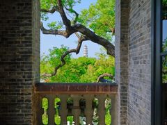 -江心屿景区