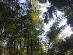 -黄公望隐居地