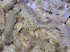 -77号渔船·蒸海鲜青岛菜(积米崖店)