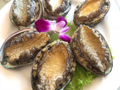 -鸿运美食府