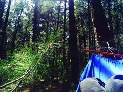 -帽儿山国家森林公园