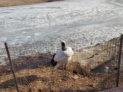 -沈阳森林动物园
