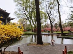 -晋祠公园