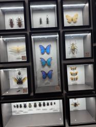 -酷嗒动物文化乐园(cutezoo西溪乐天城店)