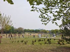 -太阳宫公园