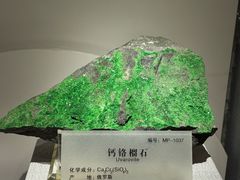 -湖南省地质博物馆