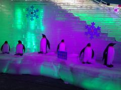 -祥源·阜阳生态乐园