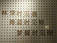 -白日梦奶茶