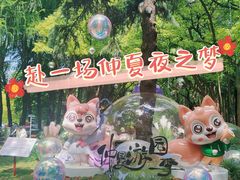 -上海共青森林公园