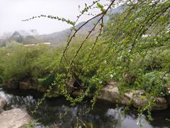 -中国茶叶博物馆(双峰馆区)