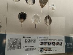 -中国扇博物馆