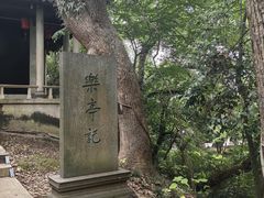 -蒋氏故居
