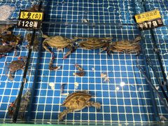 -老万烧烤(典逸心洲店)